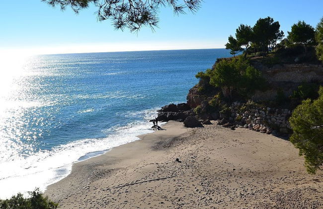 La Rosaleda - Foto 15