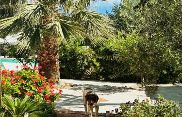 Casa Villea - Foto 16