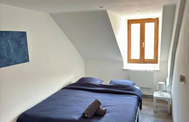 Cosy 4 - Montbéliard centre 80m2 - Foto 7