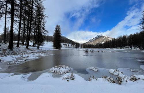 AU PIED DES PISTES D'ARVIEUX - Foto 29