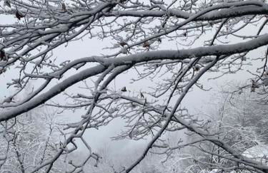 La Rotonda - Foto 19