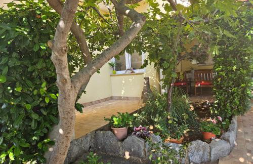 Apartmani Sanja - Foto 30