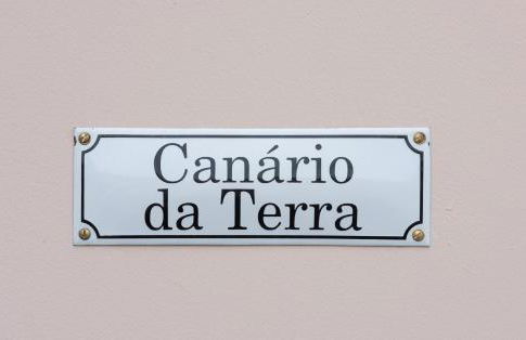 Vila Marta - Canário da Terra - Photo 33