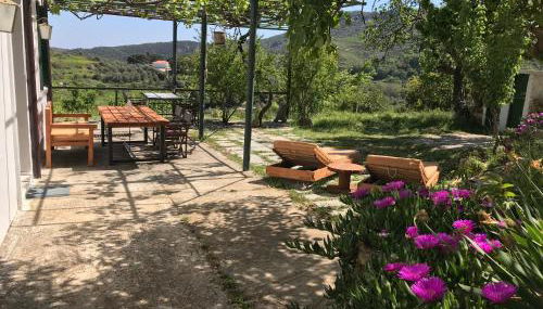 Temenia House - Foto 3, Garden, Garden view