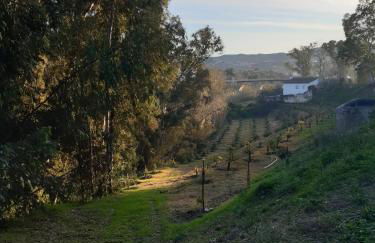 Cortijo el Puente - Photo 7