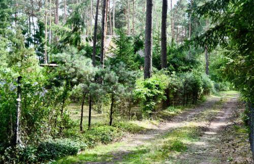 Daleko od Szosy - Foto 46