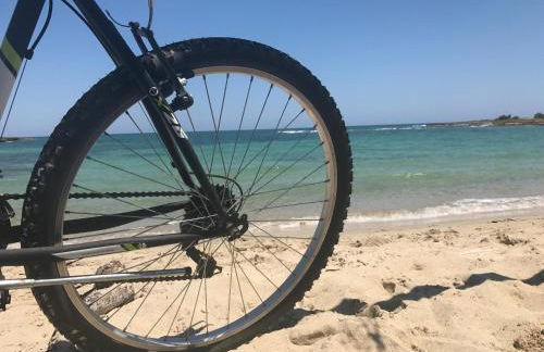 Masseria Le Terrazze di Serranova - Foto 40