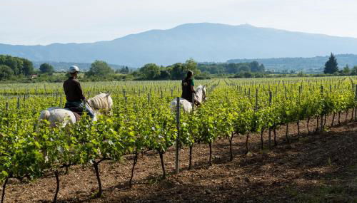 Château La Croix Des Pins - Foto 4