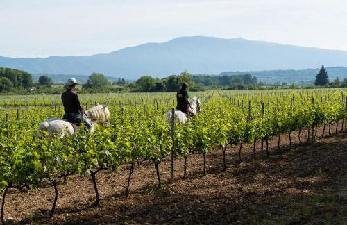 Château La Croix Des Pins - Foto 4