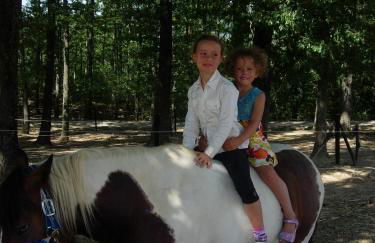 Fattoria Cà Di Gianni - Foto 29