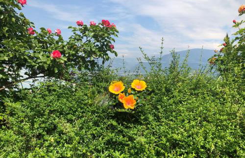 DAS MATSCHER Residence & Garden Hotel - Foto 47