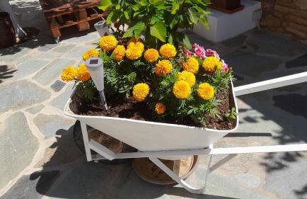 Asteria House - Foto 23