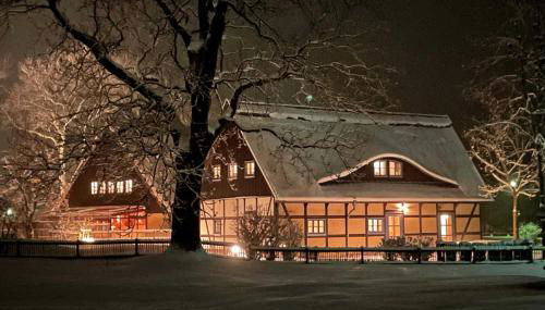 Ferienhaus Rotkehlchen Lieper Winkel, Rankwitz - Foto 3