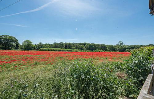 Little House, Aldringham - Foto 43