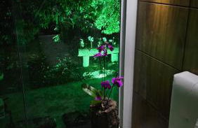 Lugar Aconchecante - Foto 6