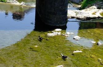 La sosta del Viandante - Foto 61