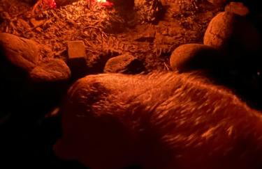 Domki Carmen - Foto 63