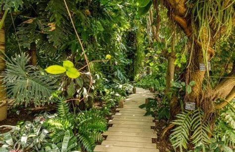 Le Nid du Château - Cocon avec Bagagerie - Foto 38