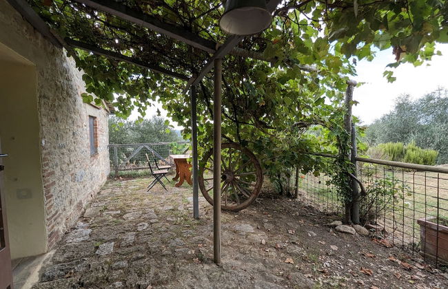 Podere Spedalone - Photo 69