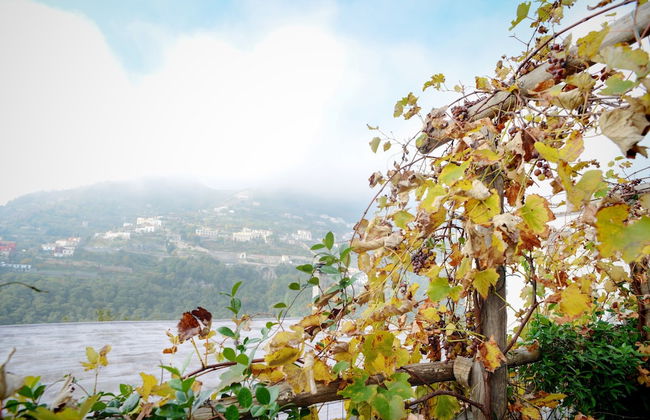 La Casa di Carla - Foto 75