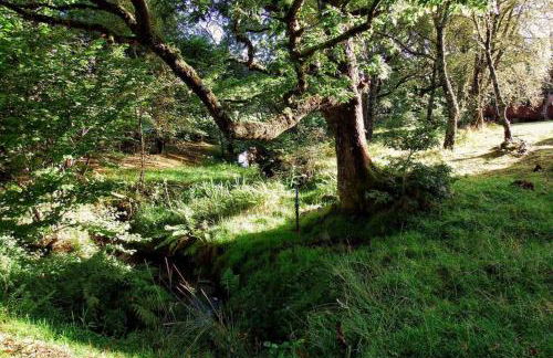 Fern Lodge - Foto 18