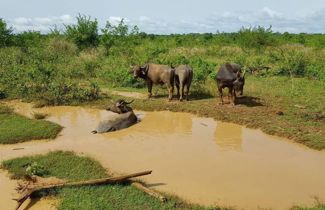 Residence Kuruniyavilla - Photo 75