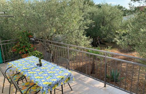 Apartman Ruža - Photo 23