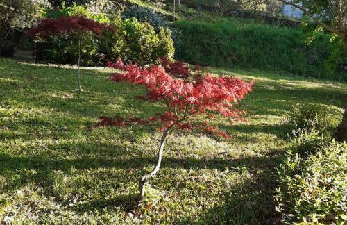 Cavado's heights Braga - Photo 30