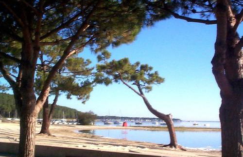 Maison piscine 4 ch Carcans Médoc Bassin Arcachon - Foto 50