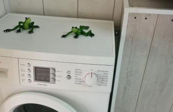 Die Ferienwohnung "Am Kietz" - Photo 18