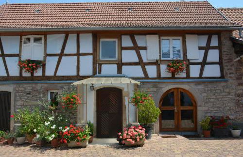 Location Alice - Photo 16