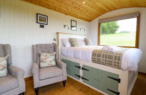 Defaid Cymreig - Foto 10