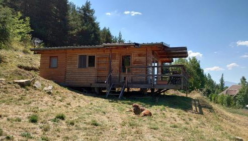 Les Chatcureuils - Foto 2