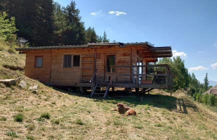 Les Chatcureuils - Foto 2