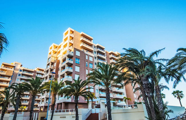 Punta Cormoran - Foto 24