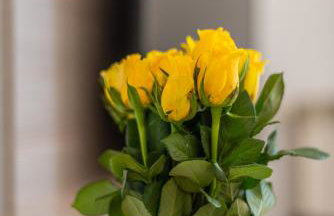 B&A - Center of Split - Foto 5