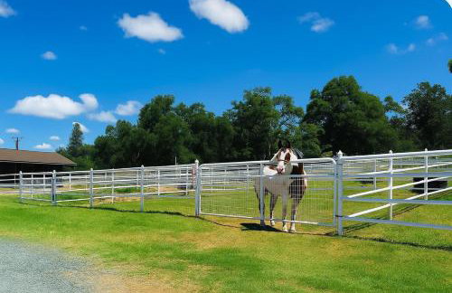 Yosemite family getaway w lake, golf, horses, pool - Foto 29