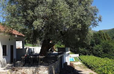 Quinta da Vinha Velha - Foto 39