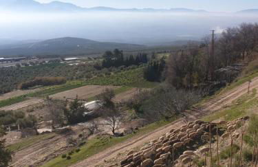 apartamento Adrian y Vanessa VFT/JA/00086 - Foto 48