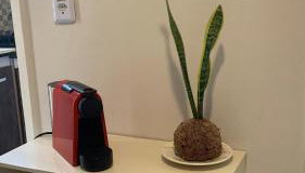 Flat 307 Dr Quirino - Foto 3