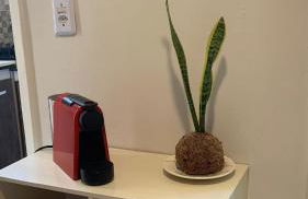 Flat 307 Dr Quirino - Foto 3