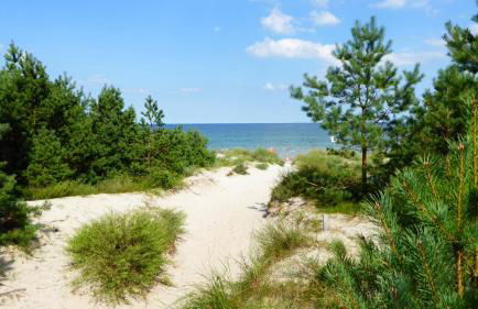 Ferienhaus Gut Rattelvitz Insel Rügen - Foto 7