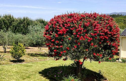 Kyrios Family 5p Villa with private pool - Foto 71