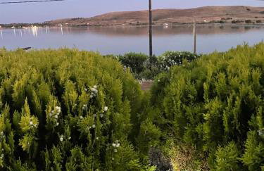 Villa Lagosta - Foto 11