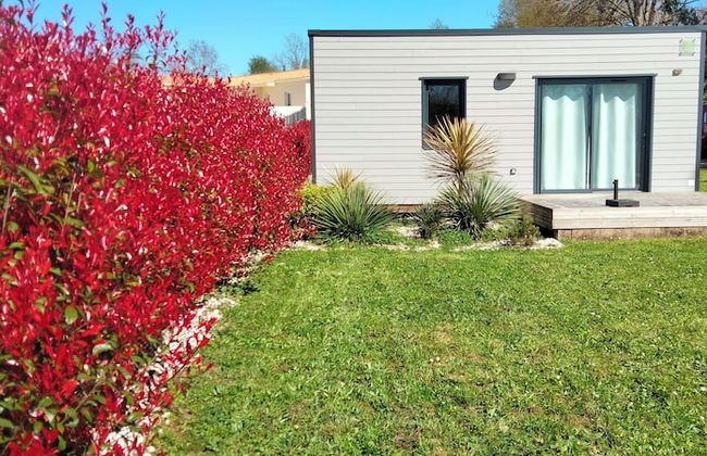 Les Logis de la Seugne - Foto 2