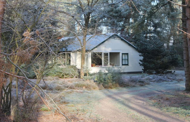 Cosy Holiday Home in Maarheeze With Verandah - Foto 47