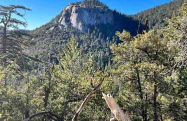 RACC00N Ridge Hot Tub Hideaway - Foto 16