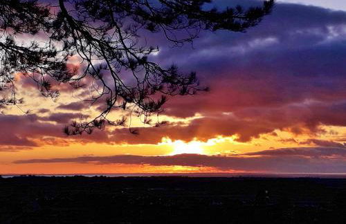 Sea Moss Cabin - Foto 29