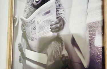 Le Cocon Nestois, Appt proche Saint-Lary- vue montagne - Foto 10