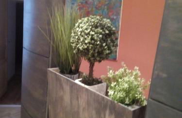 Le Chat Qui Veille - Photo 31